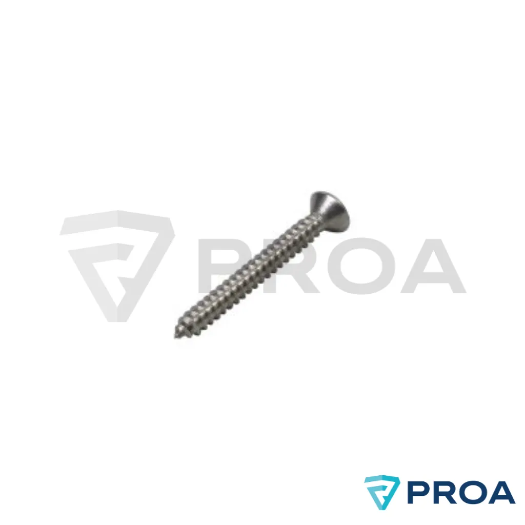 Tornillo Parker cabeza Gota de Cebo ranura phillip 1.webp
