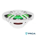 parlantes marinos RGB 6x9″ DS18 NXL-69 WH lateral verde.webp
